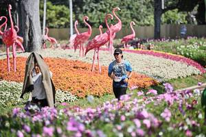 BIB: 
                            <button type="button" onclick="openModal(27794077)" class="btn btn-primary btn-sm float-right btn-popup" data-toggle="modal" data-target=".modal-high-quality">
                        <i class="fas fa-shopping-cart"></i> Add to Cart
                    </button>
                                            <button type="button" onclick="isThisMe(27794077, true)" class="btn btn-success btn-sm float-right btn-popup btn-isme hidden" data-toggle="tooltip" data-placement="bottom" title="นี่คือรูปของคุณใช่ไหม คลิกที่นี่เพื่อเอาเข้าอัลบั้ม">
                        <i class="fas fa-plus"></i> Add to album
                    </button>
                    <button type="button" onclick="isThisMe(27794077, false)" class="btn btn-warning btn-sm float-right btn-popup btn-isnotme hidden">
                        <i class="fas fa-ban"></i> Remove from album
                    </button>